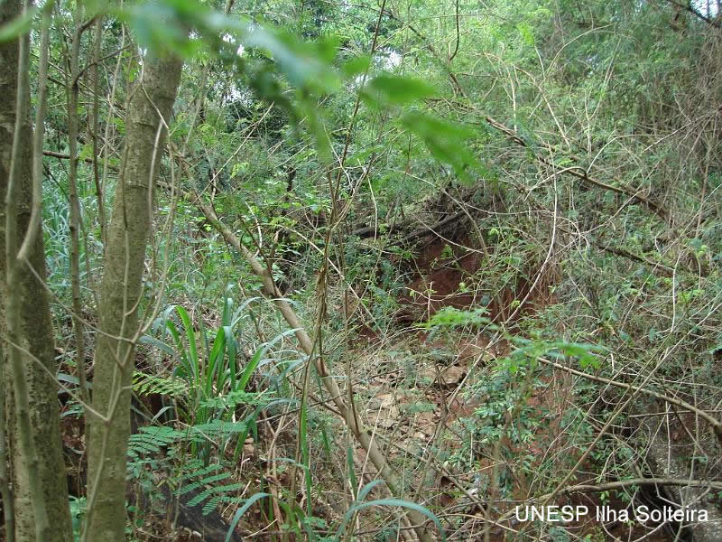 aula_pratica_5out2009 (44).jpg